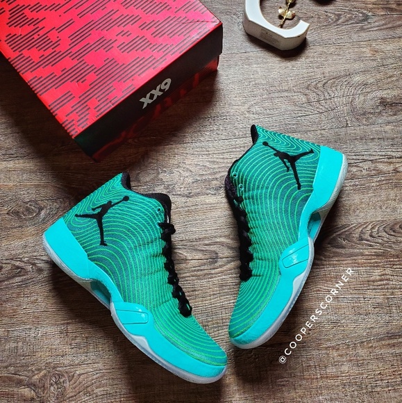 Nike Other - NEW Nike Air Jordan XX9 (Rare)